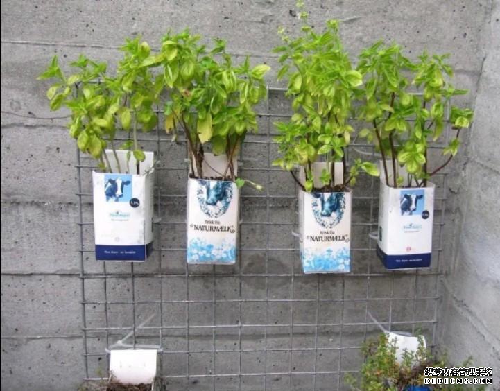 常用的一些生活用品，变成园艺工具