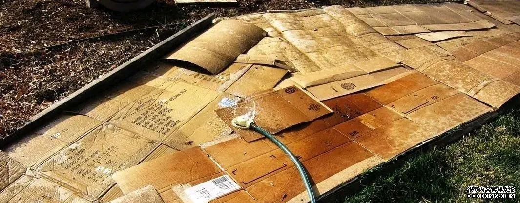 园艺工具_园艺工具有哪些_园艺工具品牌