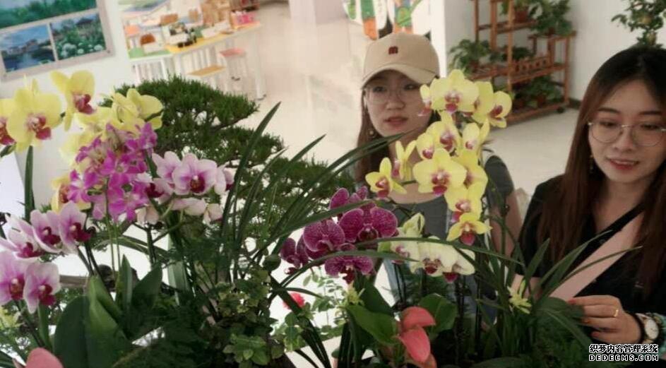 园艺现代化设施观光园区设计图_园艺现代化_现代园艺