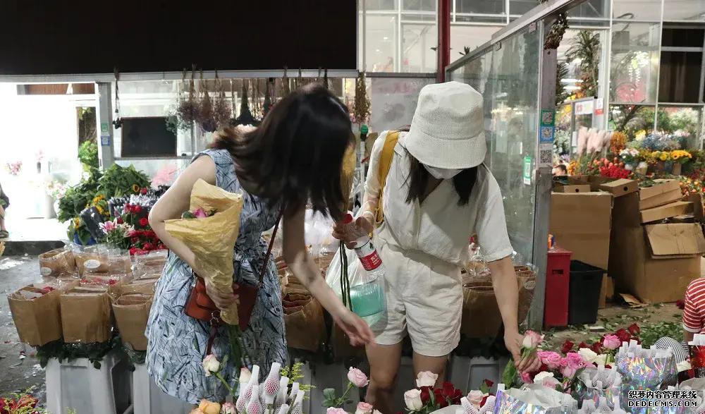 园艺现代诗_园艺现代化邱栋梁_现代园艺