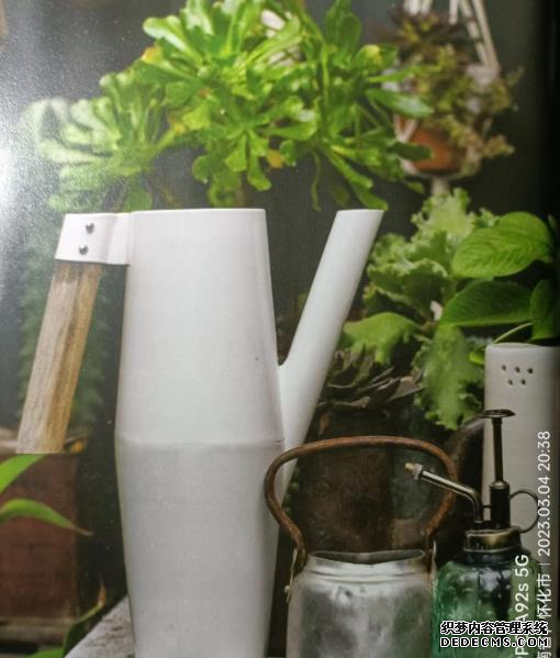 园艺工具_园艺工具网_berrybird园艺工具