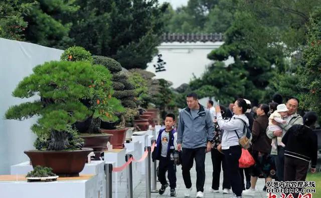用园艺之美连接世界 成都世园会“美