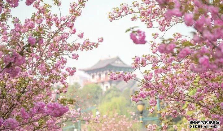 园艺博览会几年一次_园艺博览会_世界博览园艺会
