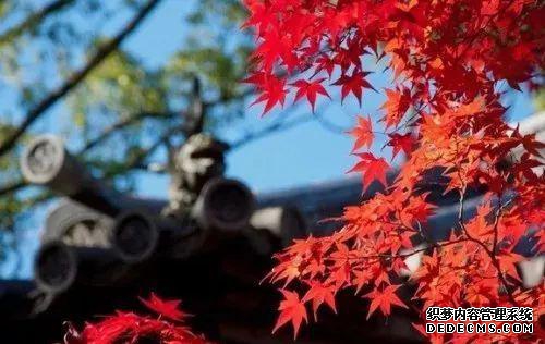 现代园艺_园艺现代化邱栋梁_园艺现代诗