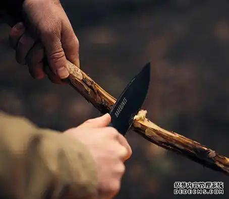家庭园艺_园艺家庭农场概念是什么_家庭园艺包括哪些内容