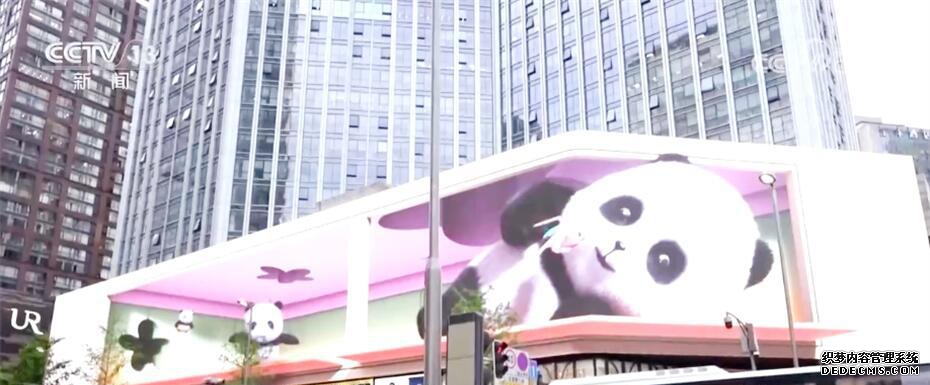 园艺博览会_园艺博览会2022_园艺博览会在哪