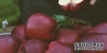 园艺学报质量怎么样_《园艺学报》_园艺学报