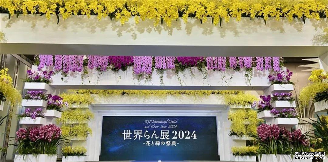 2024东京兰展再次吸引世界目光 发光蝴
