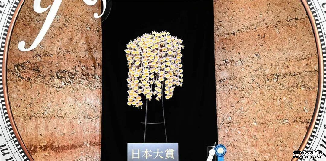 趣味园艺_趣味园艺梅pdf_趣味园艺是什么