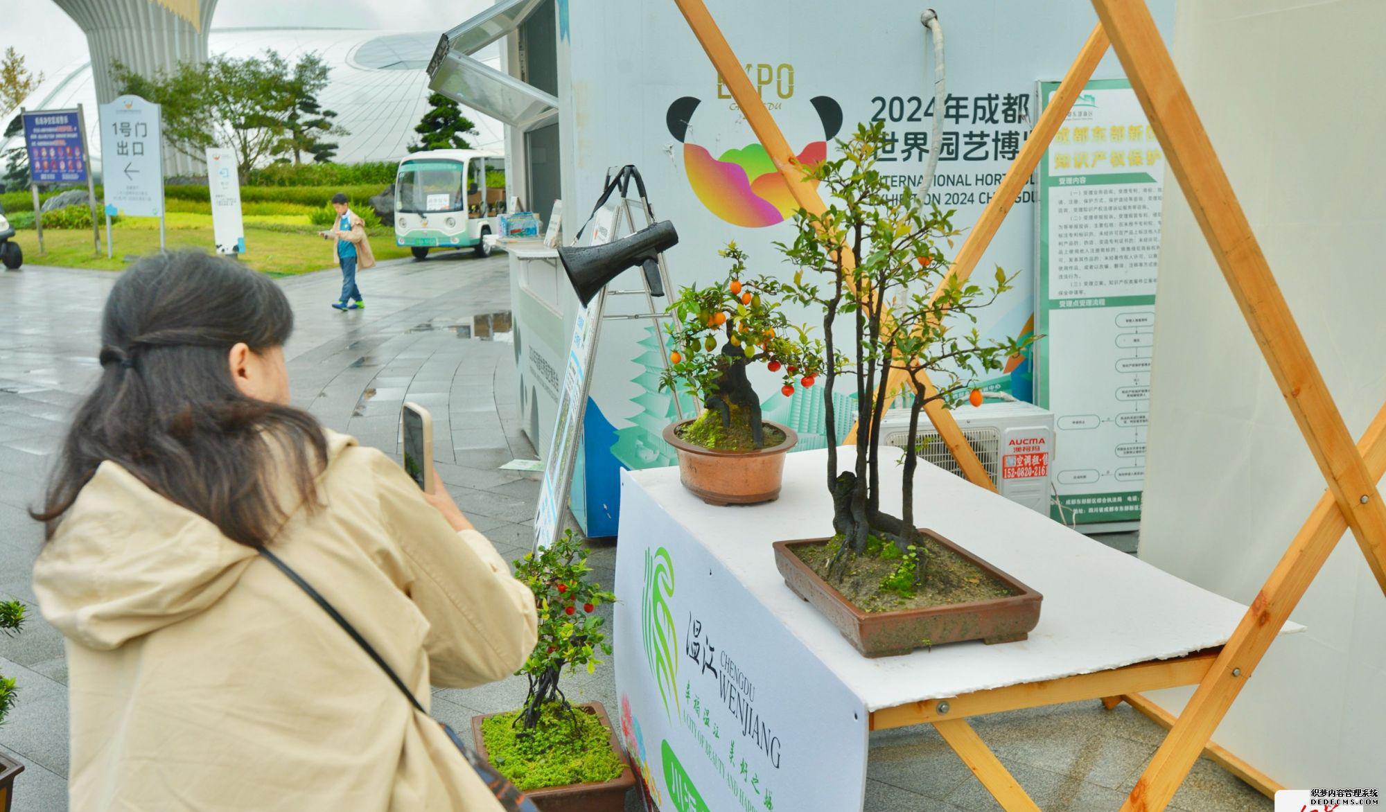 园艺博览会2020_园艺博览会_园艺博览会2022