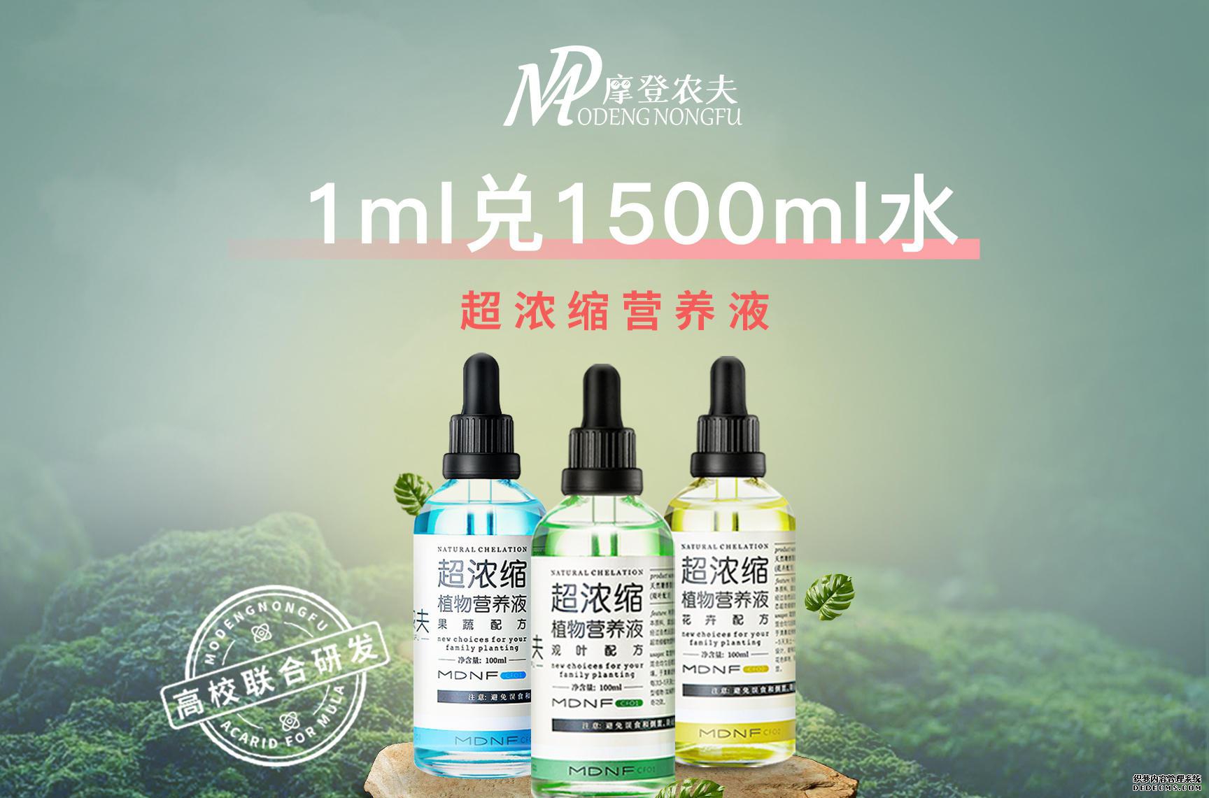 家庭园艺_家庭园艺包括哪些内容_家庭园艺类型