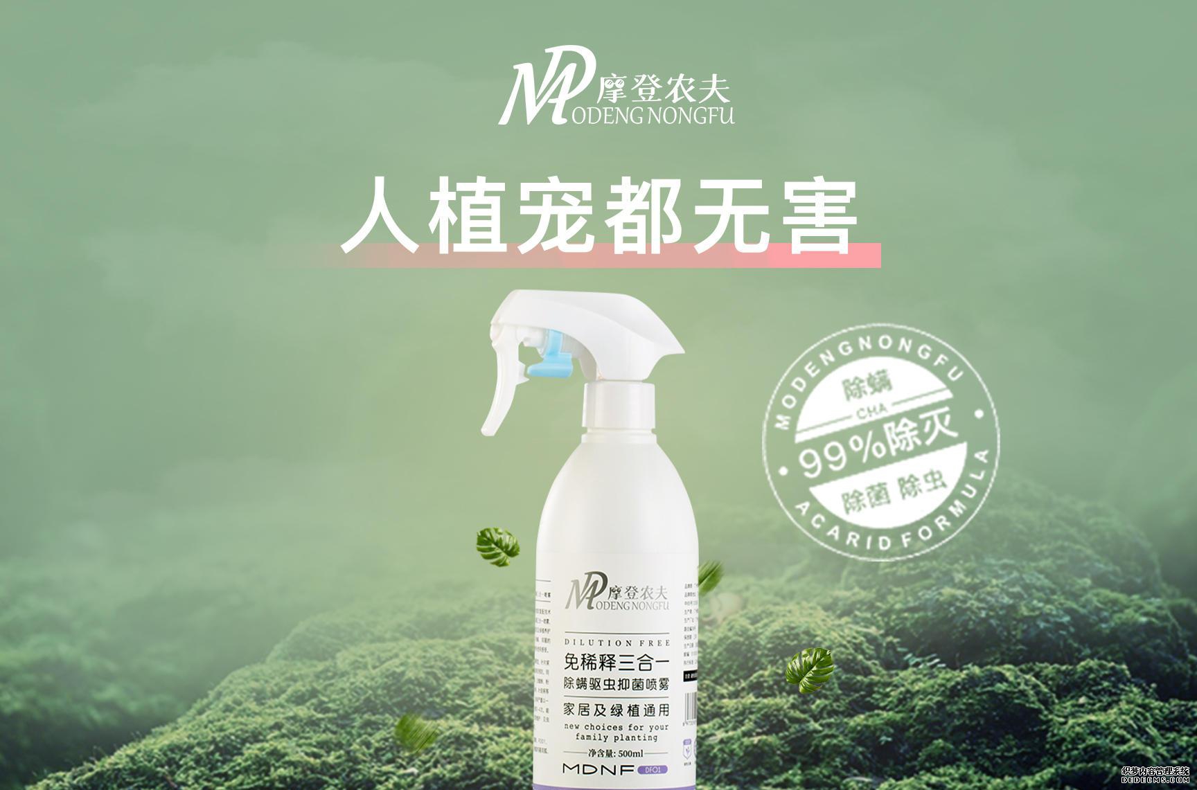 家庭园艺_家庭园艺包括哪些内容_家庭园艺类型