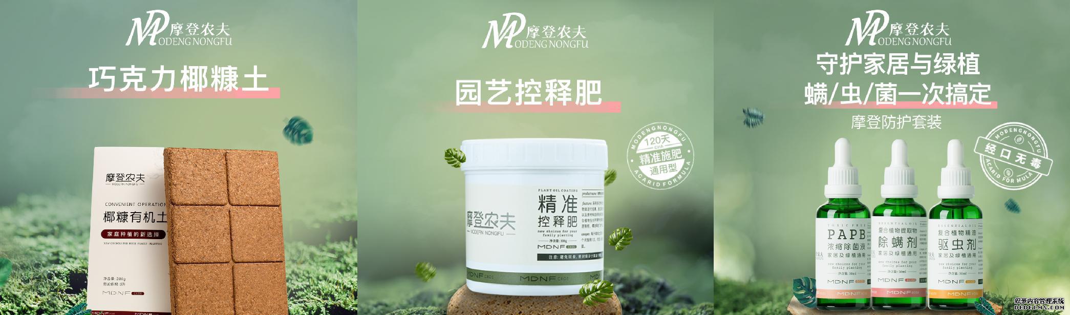 家庭园艺类型_家庭园艺包括哪些内容_家庭园艺