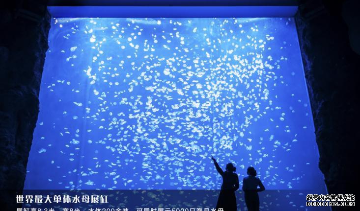 园艺博览会几年一次_园艺博览会_园艺博览会在哪