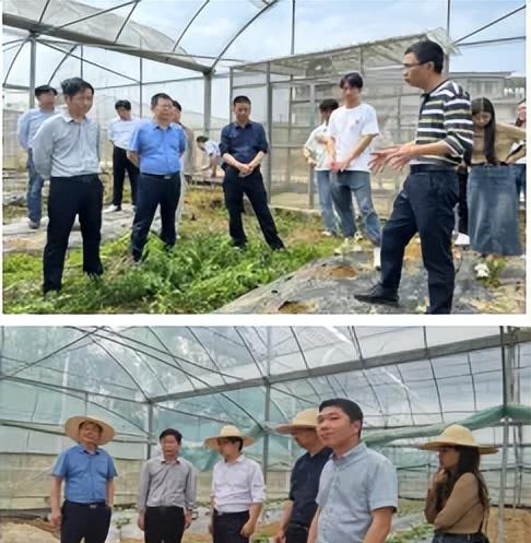 现代园艺_园艺现代化_园艺现代化邱栋梁