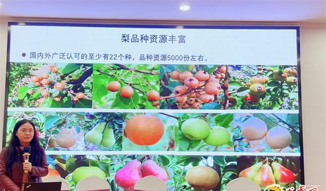 园艺现代育苗技术_现代园艺_园艺现代化邱栋梁