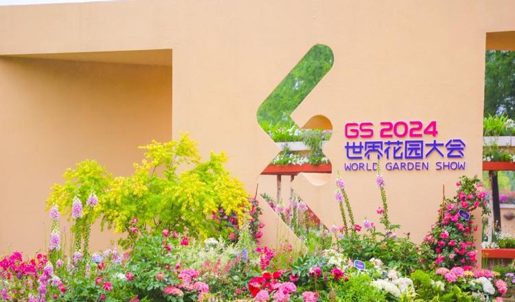 家庭园艺包括哪些内容_园艺家庭农场概念是什么_家庭园艺