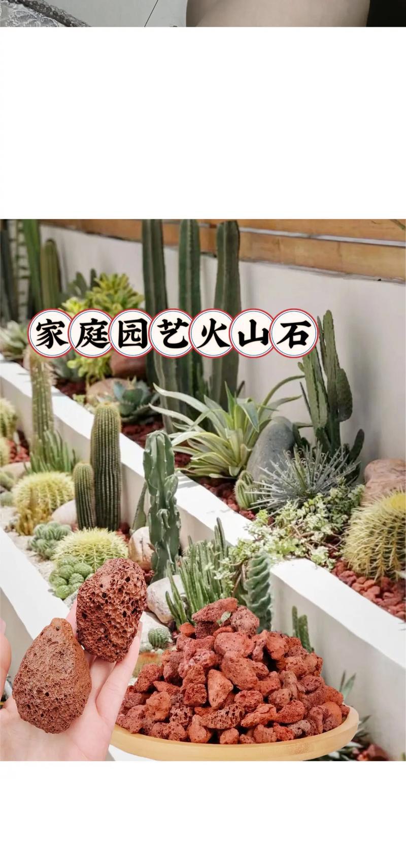 园艺家庭农场_家庭园艺_家庭园艺类型