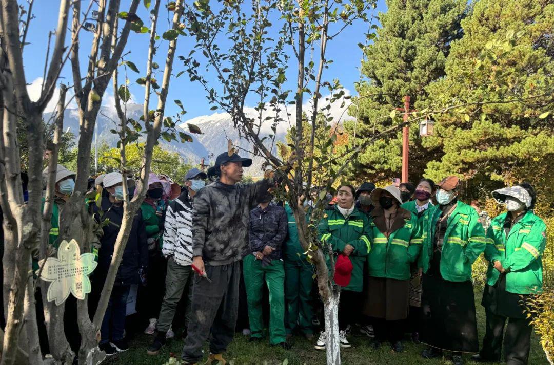花卉园艺工_花卉园艺师证书_园艺花卉
