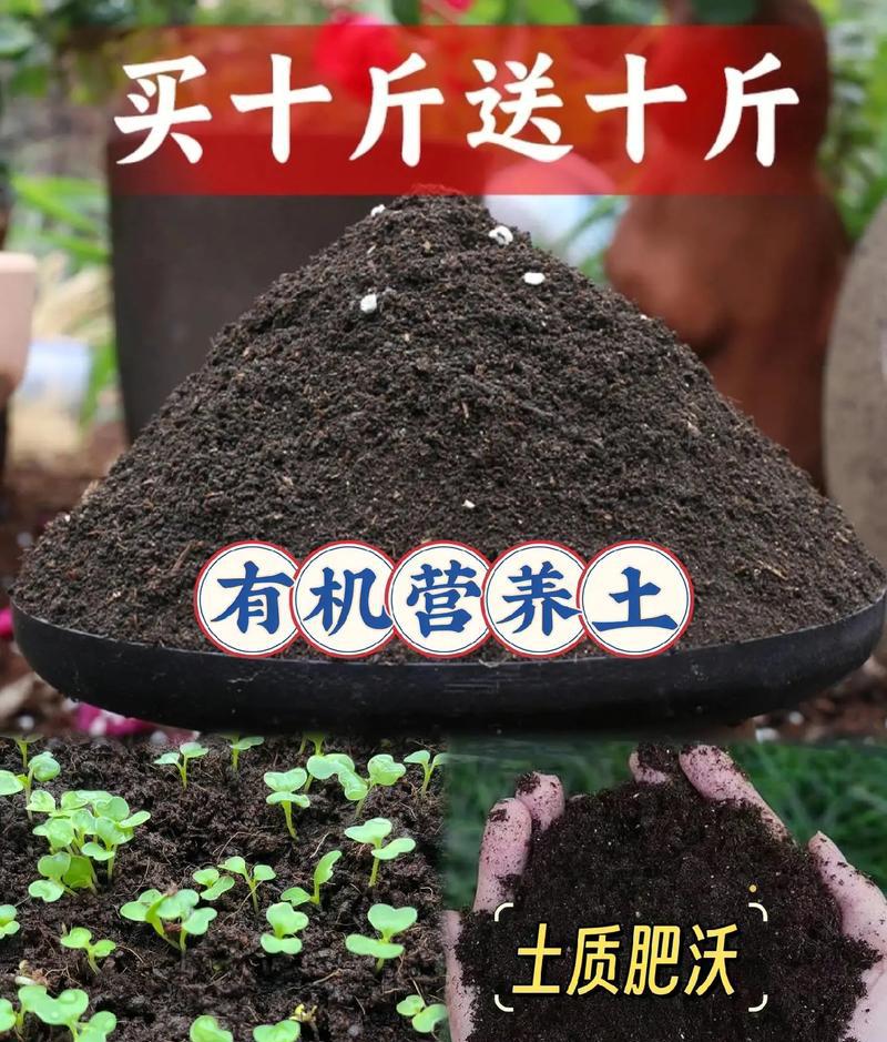 阳台养花种菜带火“外卖买土”！营养土、园艺工具等商品外卖订单大涨