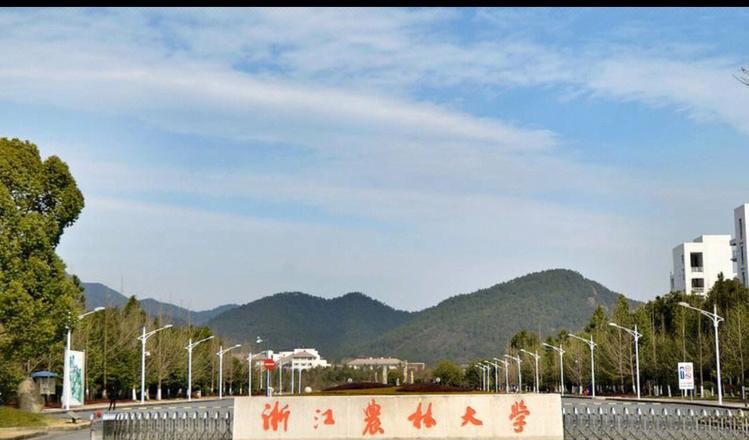 园艺现代化_园艺现代育苗技术_现代园艺