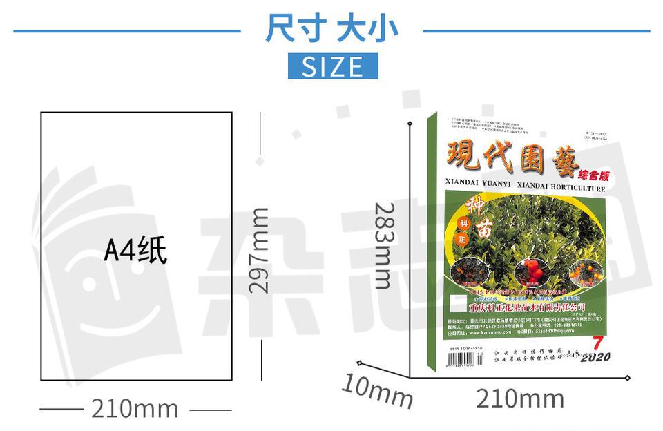 园艺现代化的社会发展_园艺现代育苗技术_现代园艺