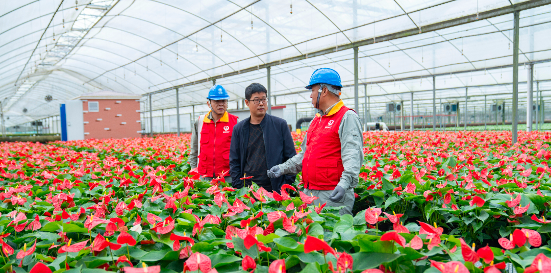 花卉园艺师证书_花卉园艺取名大全_园艺花卉