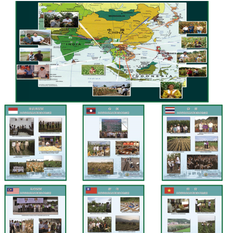 园艺技术_园艺技术就业方向_园艺技术属于什么大类
