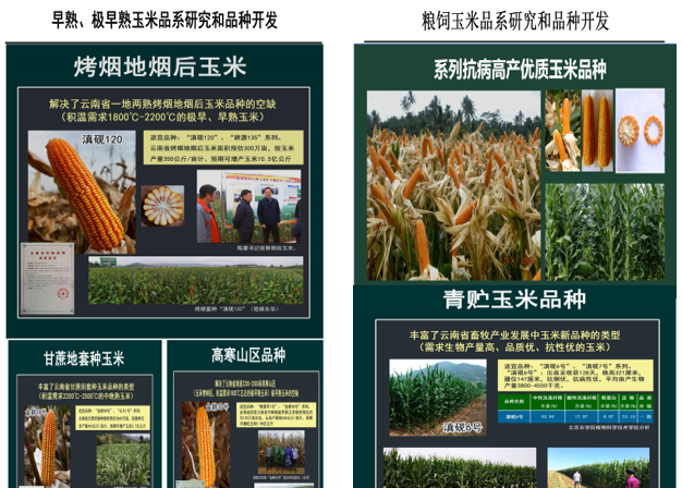 园艺技术_园艺技术就业方向_园艺技术属于什么大类