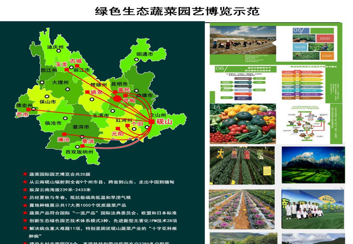 园艺技术属于什么大类_园艺技术就业方向_园艺技术