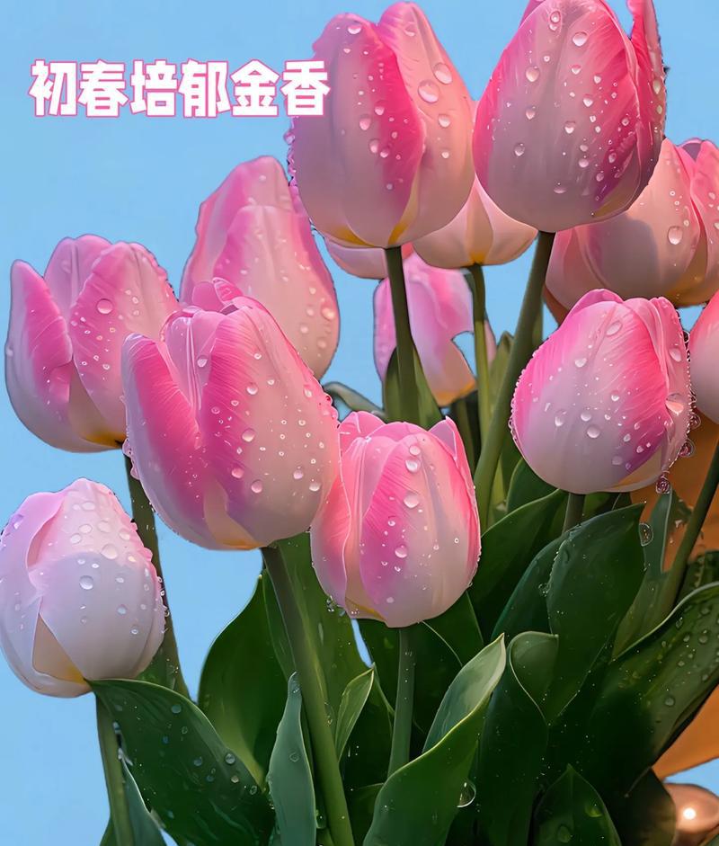园艺现代诗_现代园艺_园艺现代育苗技术