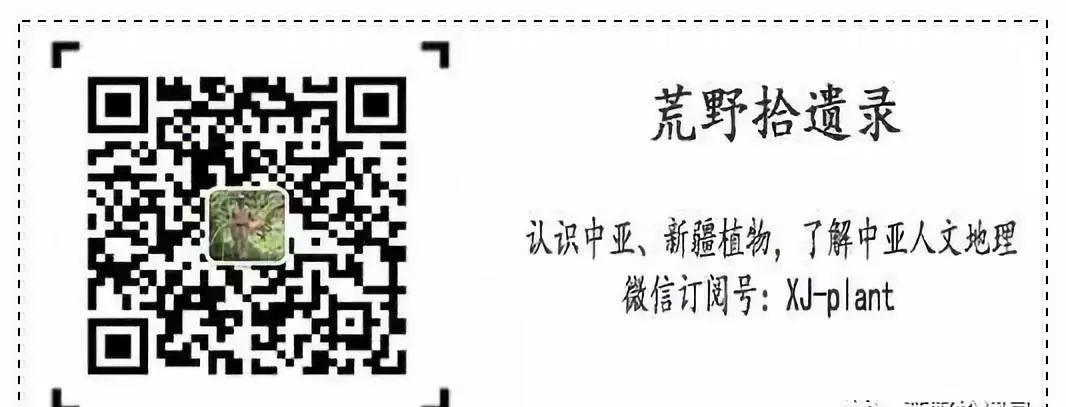 现代园艺_园艺现代育苗技术_园艺现代诗