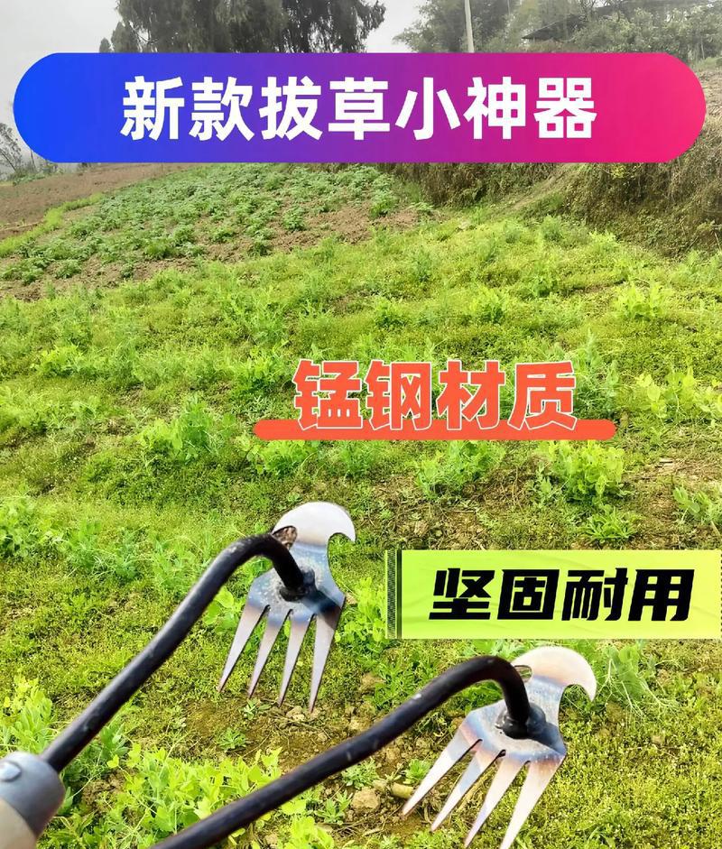 园艺爱好者必看：提升绿植养护的高性能实用工具推荐