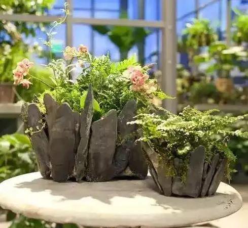 花卉园艺师是干什么的_园艺花卉_花卉园艺取名大全