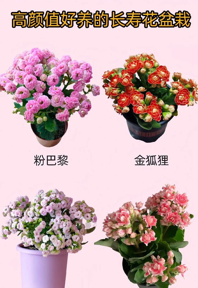 园艺家庭农场概念是什么_家庭园艺_园艺家庭农场