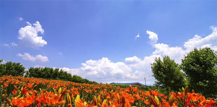 园艺花卉_花卉园艺工_花卉园艺师