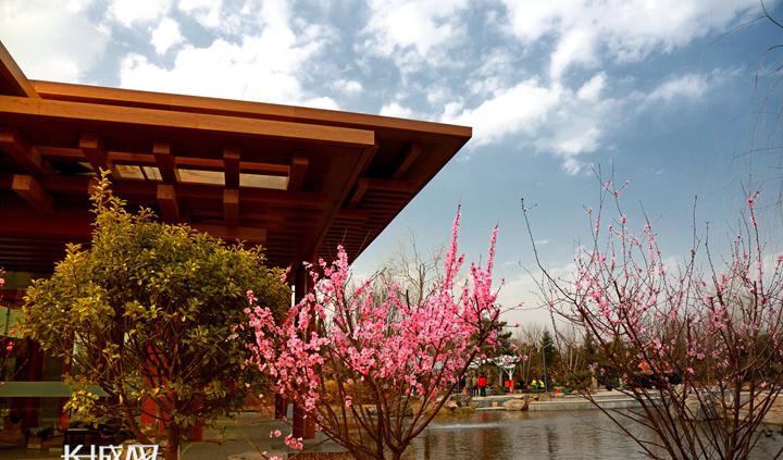 趣味园艺大学生选修课_趣味园艺淘宝店_趣味园艺