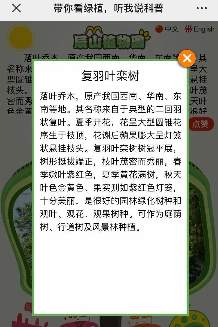 趣味园艺_趣味园艺梅pdf_趣味园艺梅