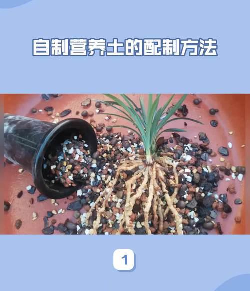 家庭园艺_家庭园艺包括哪些内容_园艺家庭农场