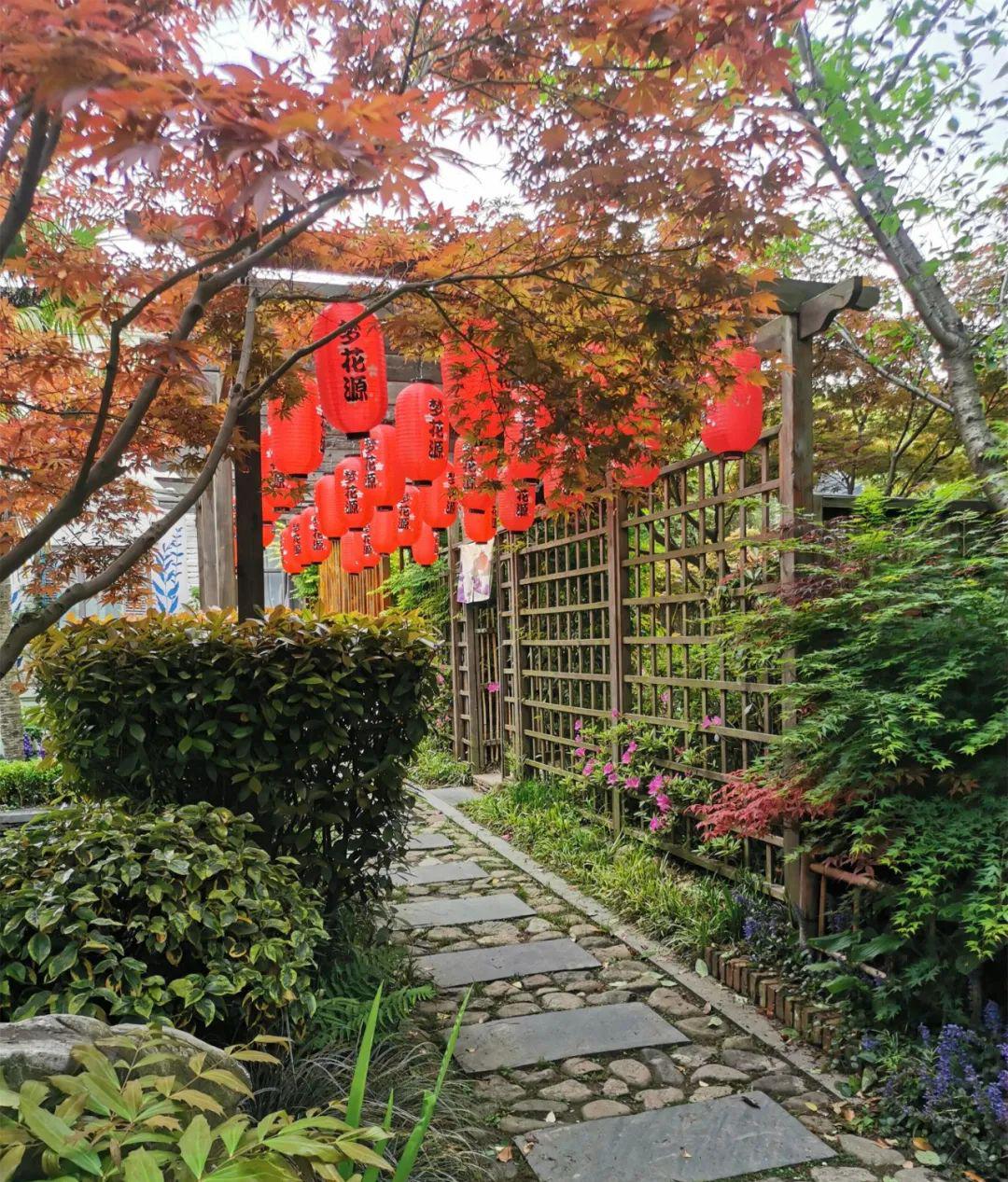 家庭园艺_园艺家庭农场_家庭园艺类型