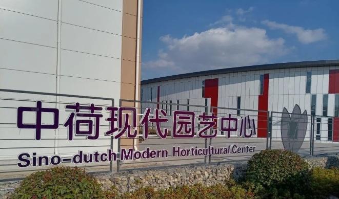 园艺现代育苗技术_现代园艺_园艺现代化