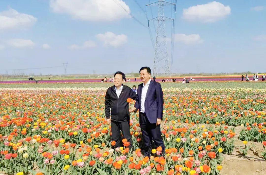 园艺现代化_现代园艺_园艺现代育苗技术