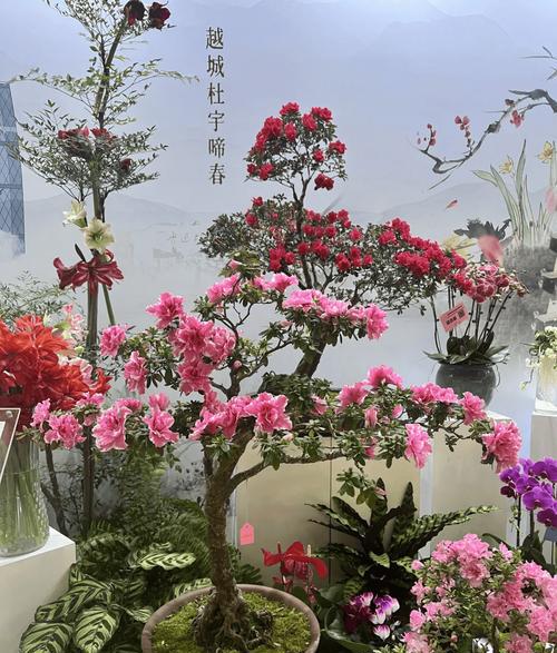 十城年宵特马精准四肖名花进京 202