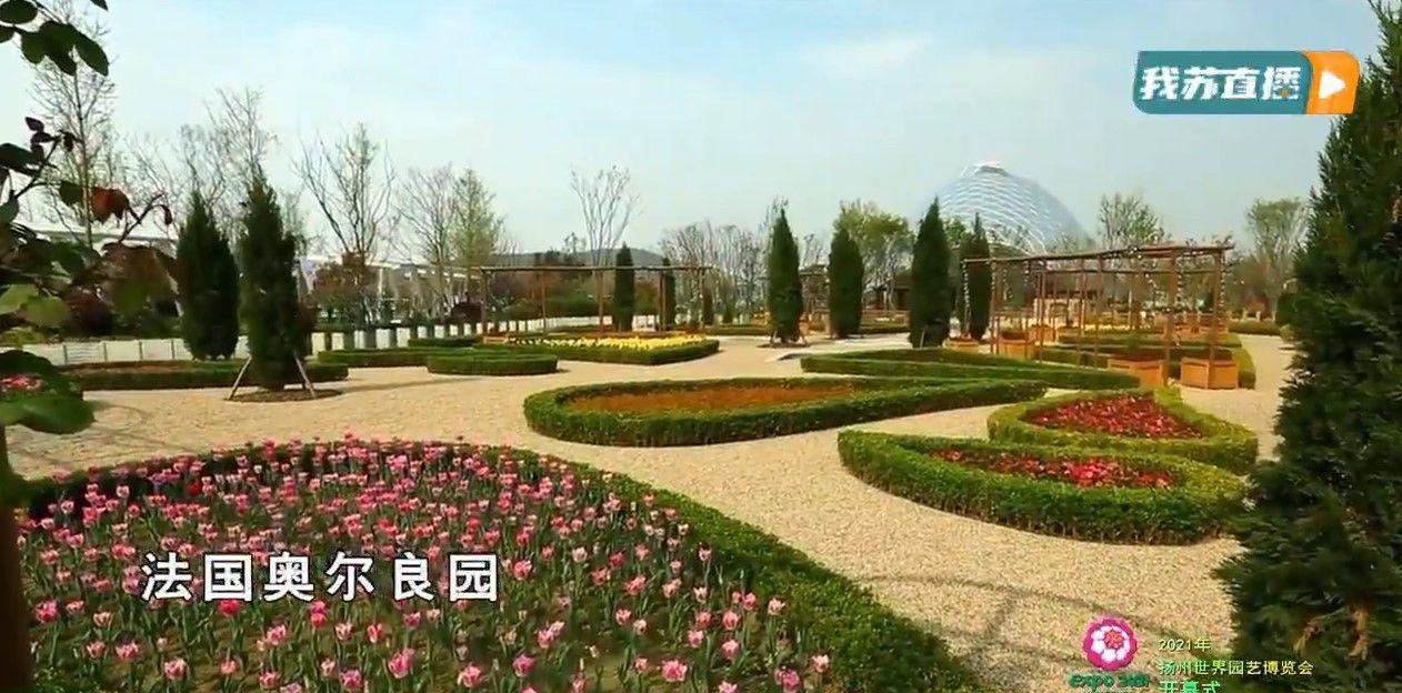 直播回放:以园为媒 以花会友!2021年扬
