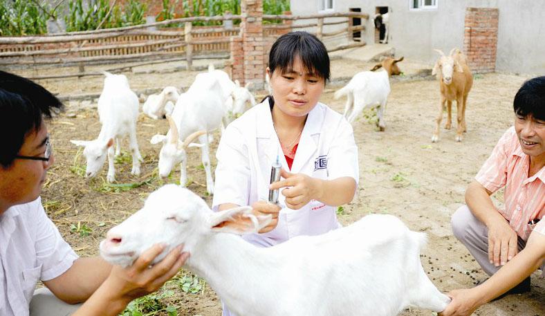园艺专业_园艺专业就业前景和就业方向_园艺专业大学排名