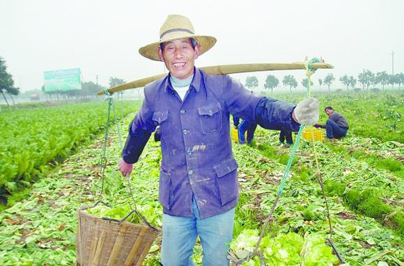 园艺专业就业前景和就业方向_园艺专业大学排名_园艺专业