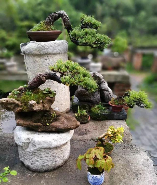 园艺专业_园艺专业考研院校排名_园艺专业就业方向