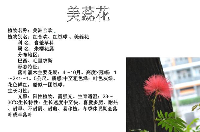 园艺专业简介