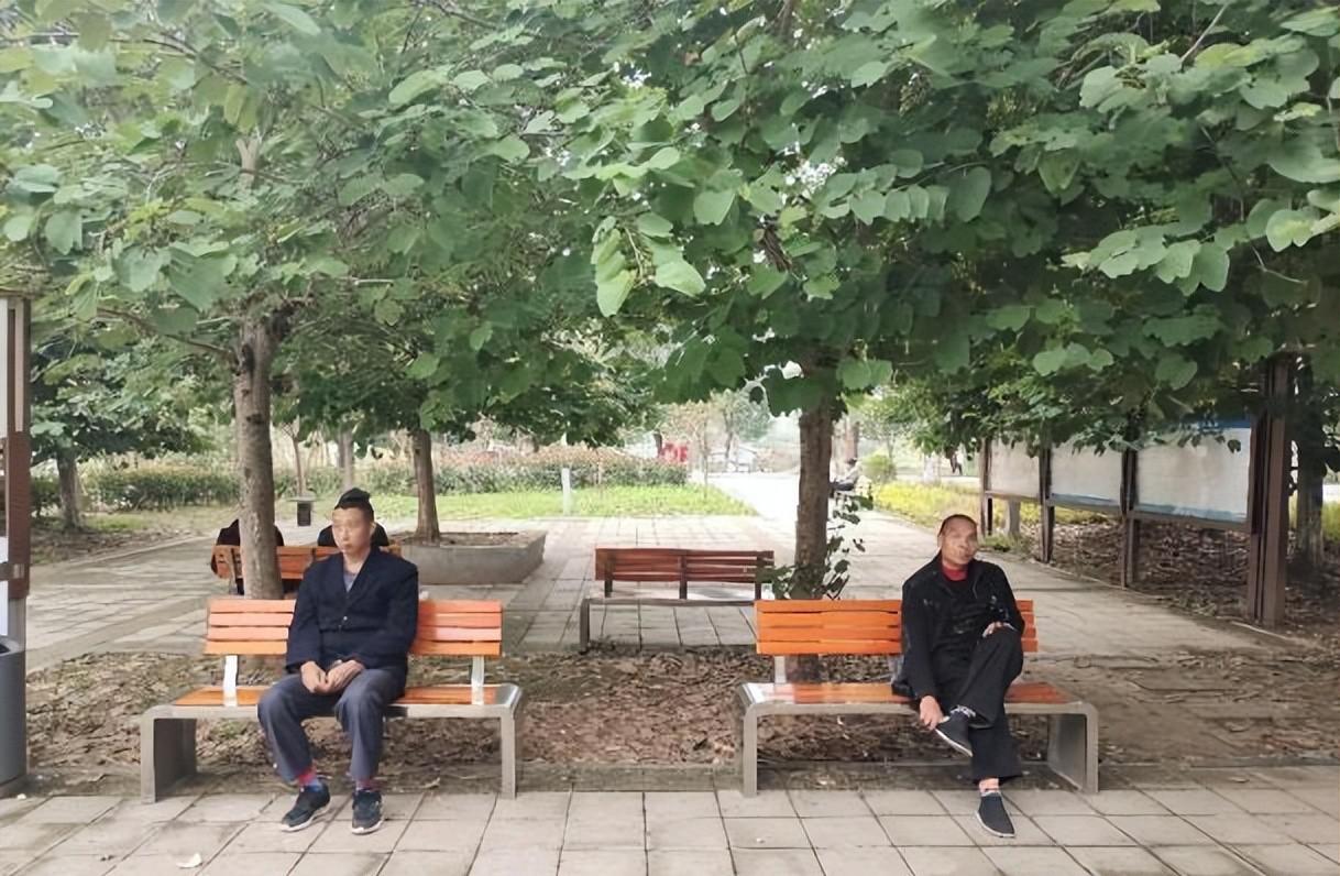 园艺景观石批发_园艺景观技术员工作内容_园艺景观