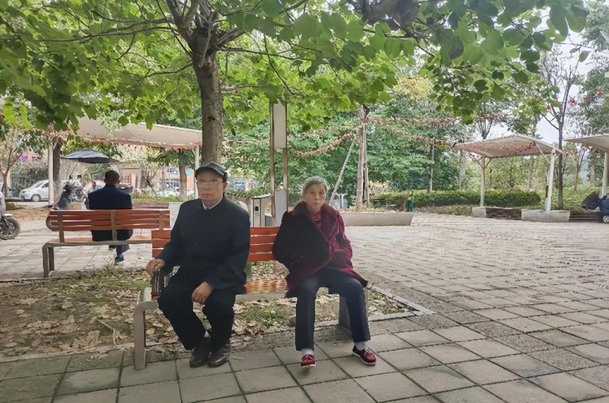 园艺景观技术员工作内容_园艺景观石批发_园艺景观
